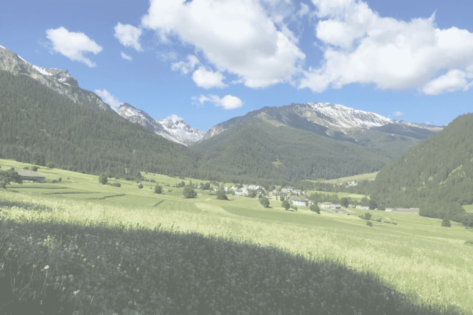 Estate Inpsieme 2021 destinazioni Italia - Trentino